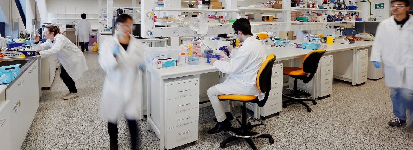 Busy pharmaceutical laboratoy
